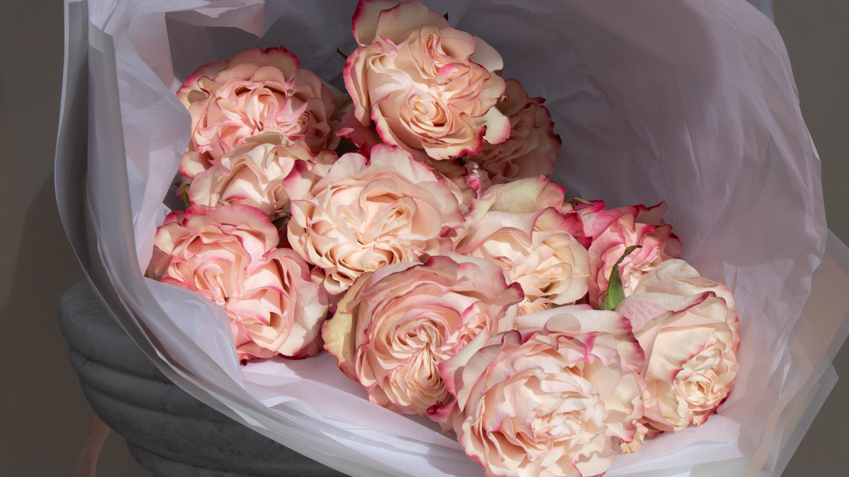 Valentine's Day Edit