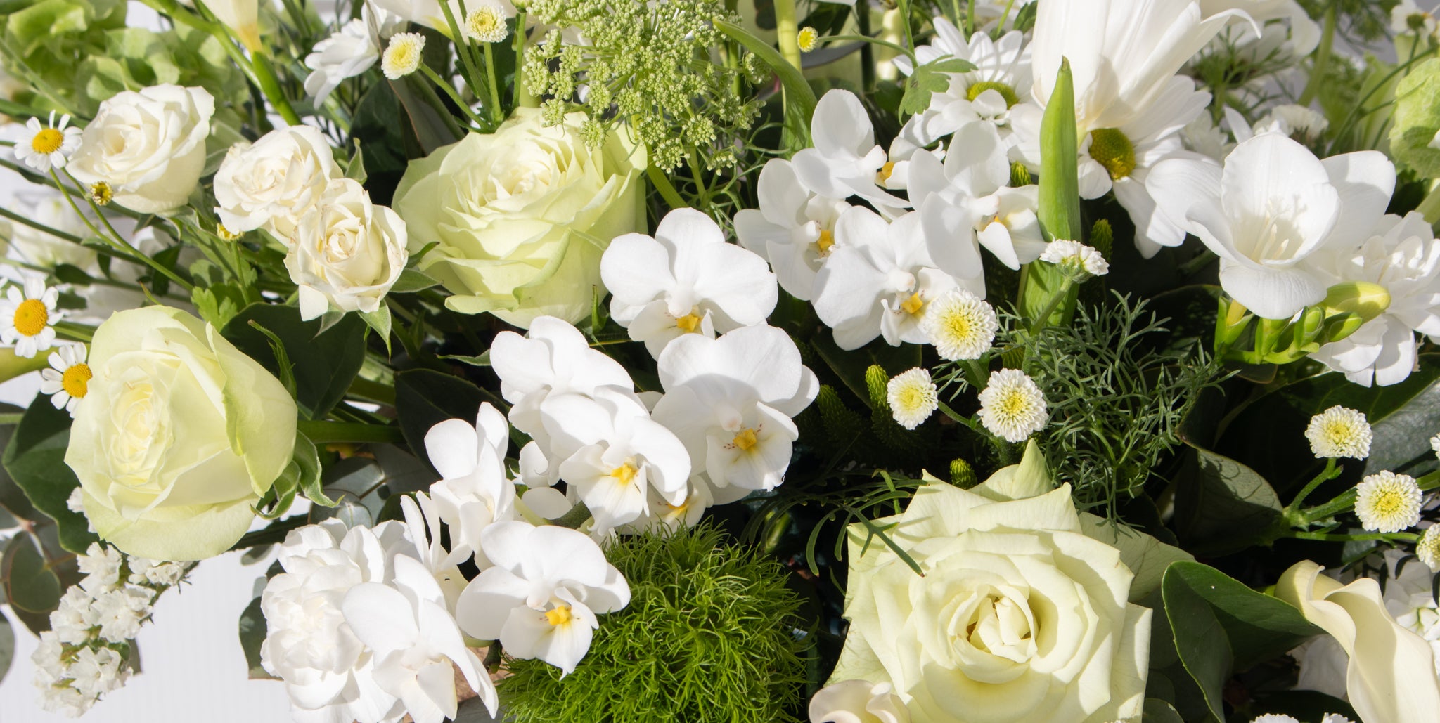 Celebrate Mum with Beautiful Blooms