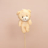 Graduation & Plush Bears