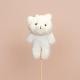 Graduation & Plush Bears
