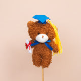 Graduation & Plush Bears