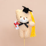 Graduation & Plush Bears