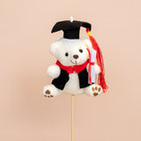 Graduation & Plush Bears