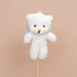 Graduation & Plush Bears